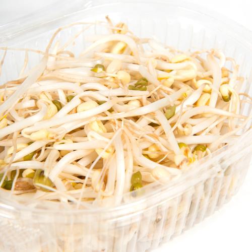 Ростки золотистой фасоли маш