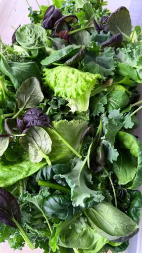 Микс салатов